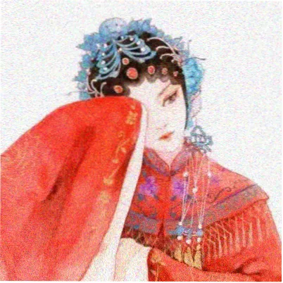 读者白噪音头像
